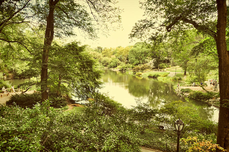 Postcard From New York - Central Park Photograph by Paulette B Wright