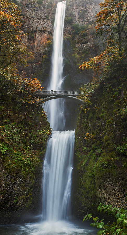 Fall Photograph - Postcard from Oregon by Loree Johnson