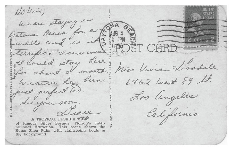 Postcard, Horsehoe Palms Florida 1955 Photograph