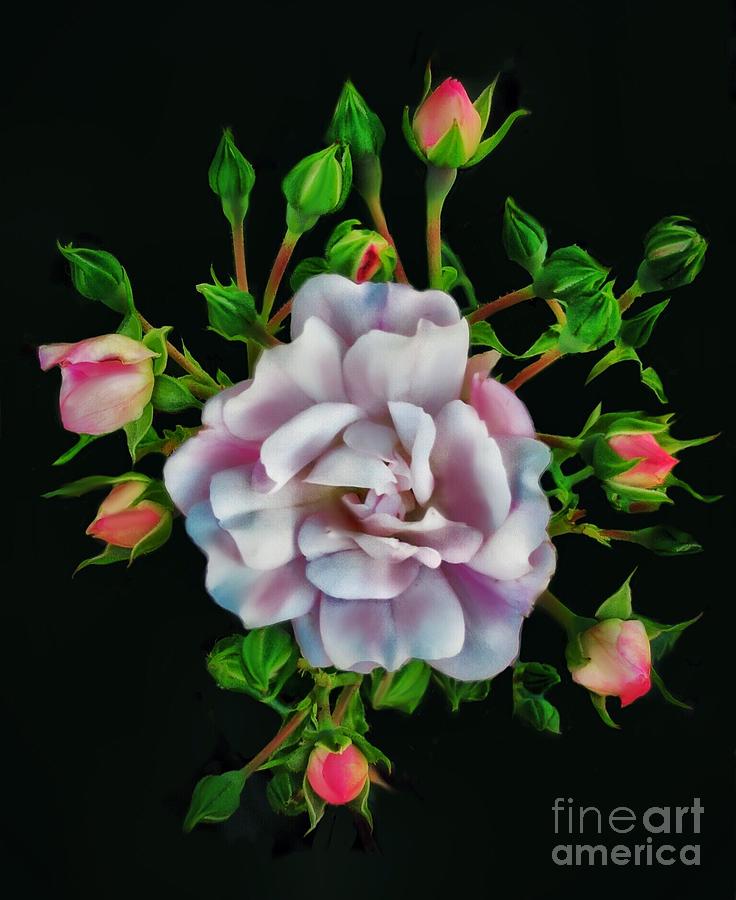 Postcard Roses 1 Digital Art by Diana Rajala