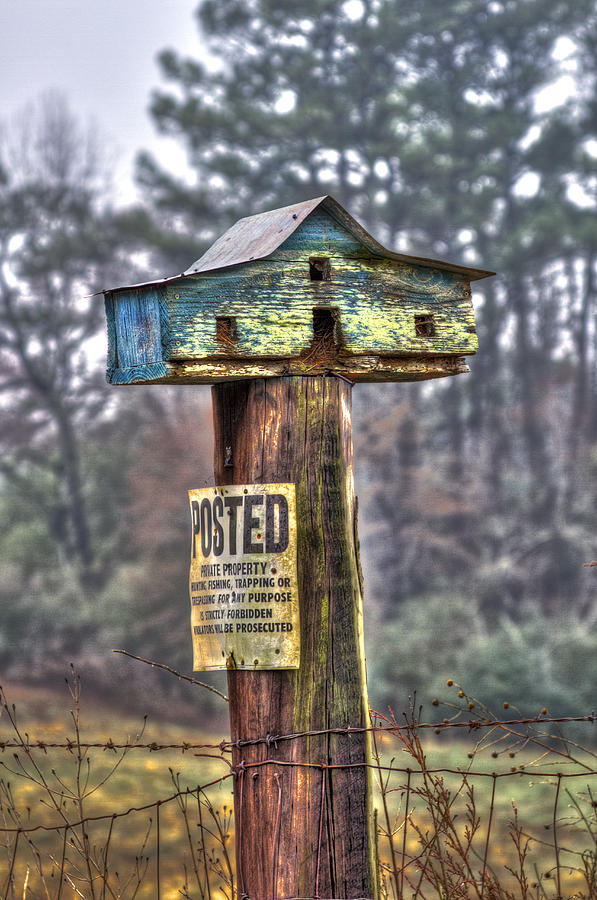 Posted Keep Out Bird House Art Photograph