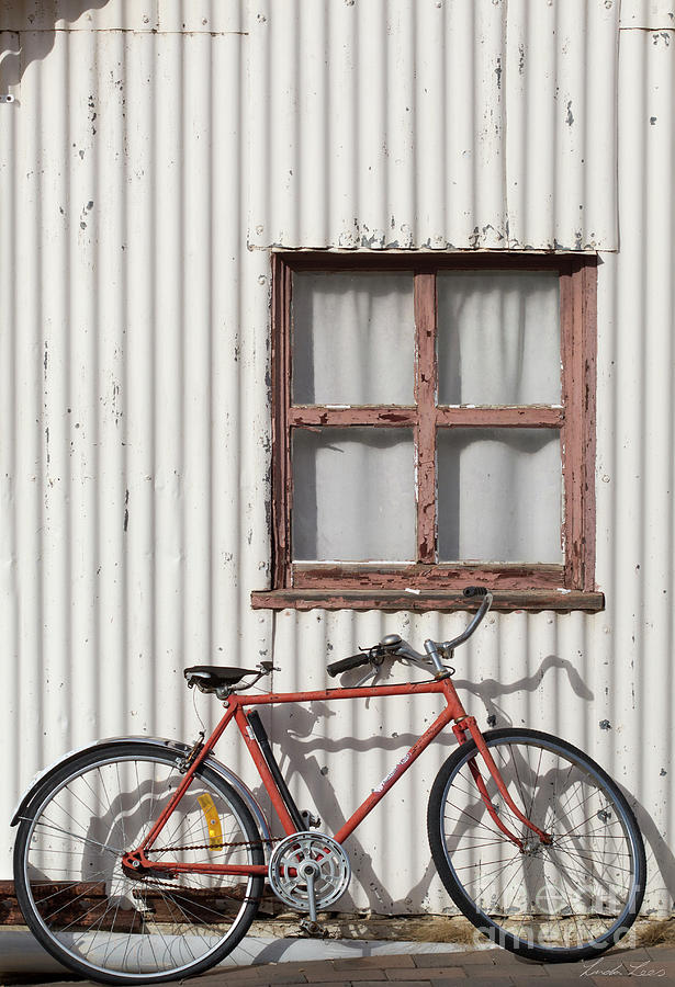 Postie Bike Photograph by Linda Lees