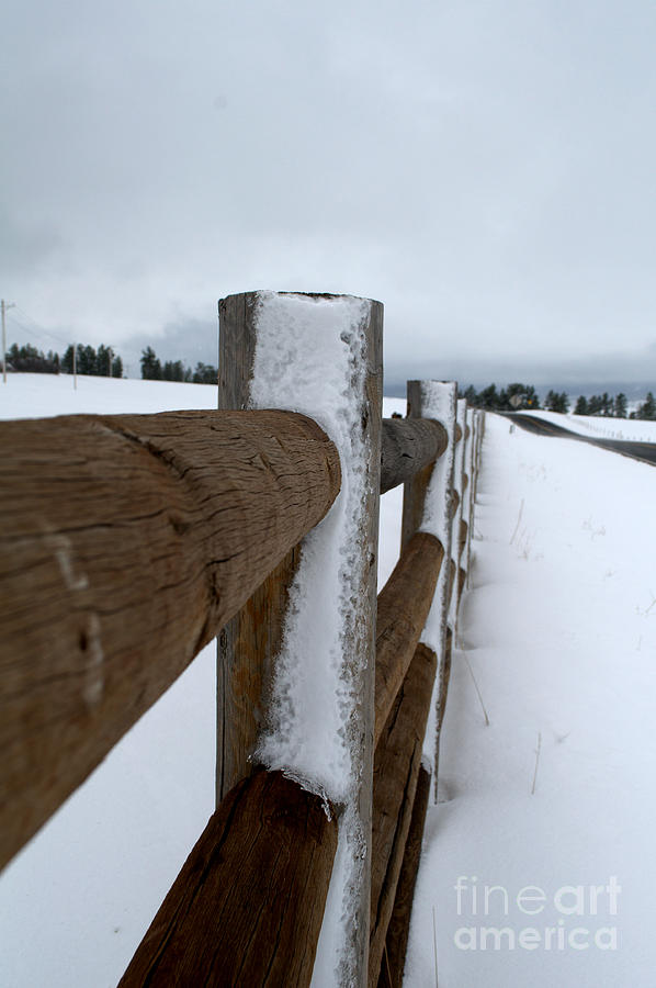 Landscape Photograph - Posts in the Snow by Anjanette Douglas