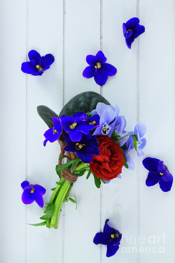 Posy of Violets, Pansies and Ranunculus Photograph by Anastasy Yarmolovich