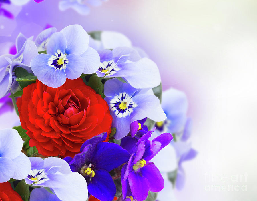Red and Blue Symphony Photograph by Anastasy Yarmolovich