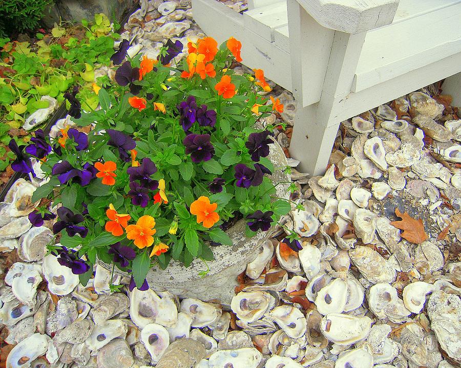 Pot of Posies On The Half Shell Photograph by Don Struke