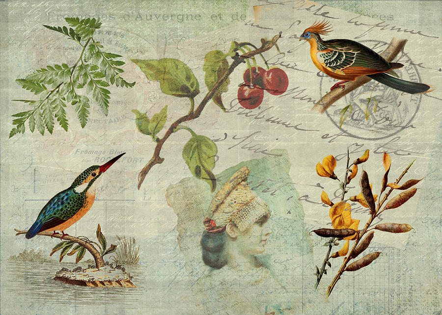 Bird Digital Art - Pot-Pourri by Sarah Vernon