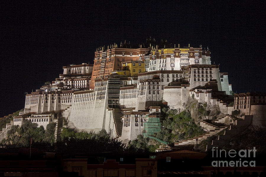 Potala palace at night Photograph by Hitendra SINKAR