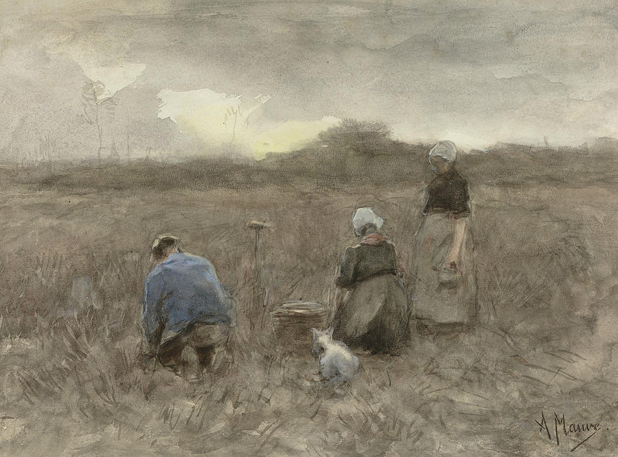 Anton Mauve Painting - Potato Harvesters by Anton Mauve