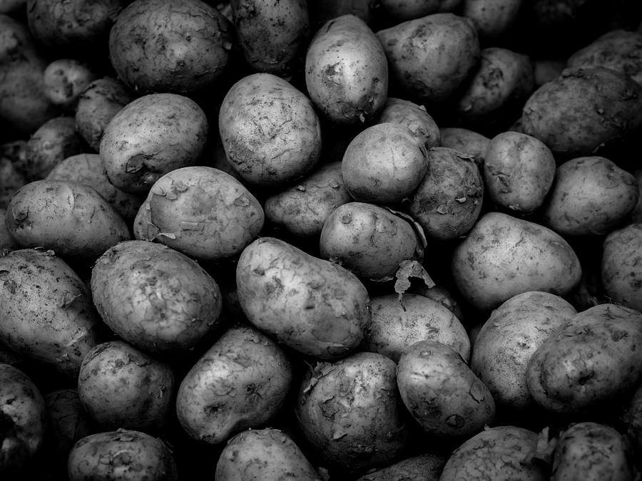 Potato Photograph - Potato Pile - Black and White by Kaleidoscopik Photography