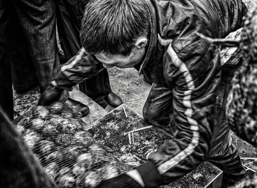 Potato Worker Moving Sacks Photograph by John Williams