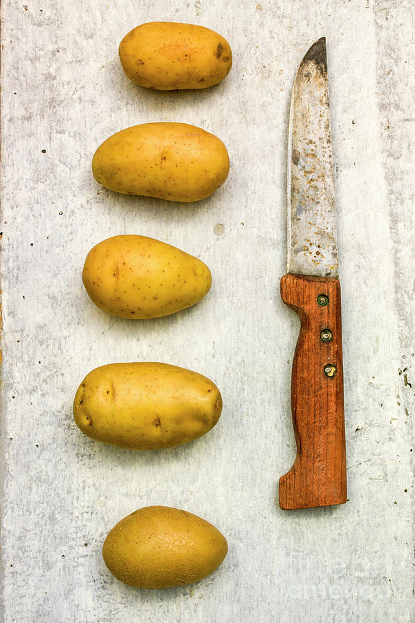 Potatoes and old knife Photograph by Bernard Jaubert - Fine Art America