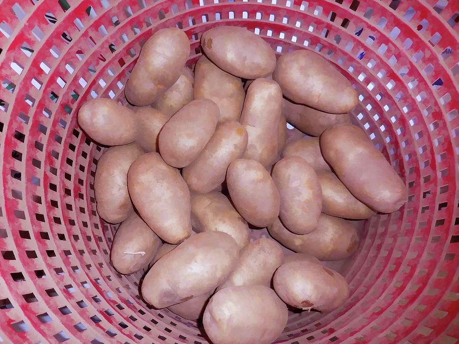 Potatoes in basket  Painting by Jeelan Clark