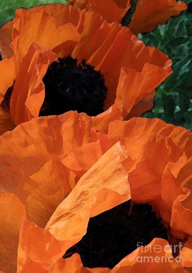Poppy Mixed Media - Potent Poppies by Anne Ditmars