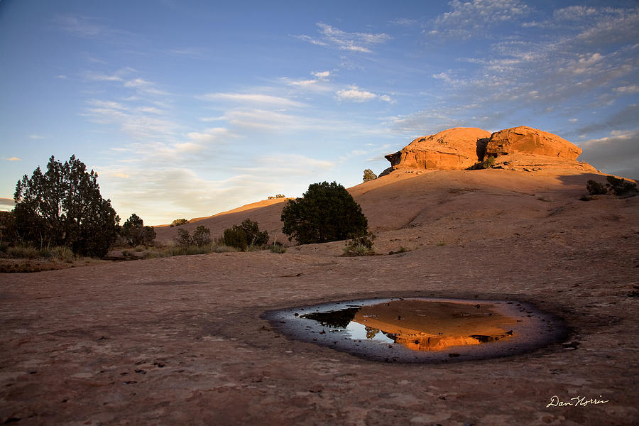 Pothole Reflection on Slickrock Trail Photograph by Dan Norris