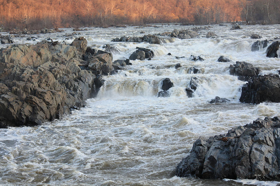 Potomac - The Rapids at Great Falls Photograph by Ronald Reid