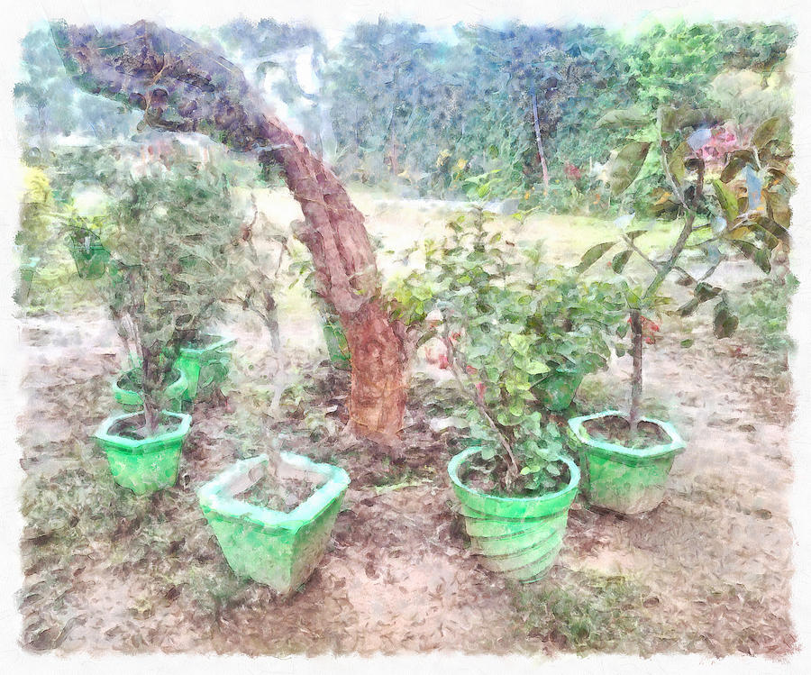 Pots and plants at an exhibition Photograph by Ashish Agarwal