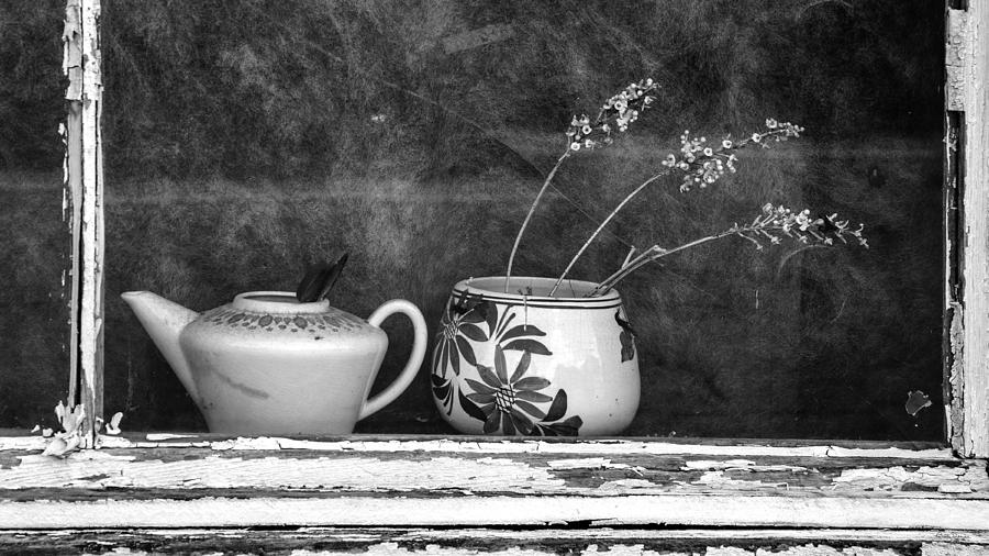 Flower Photograph - Pots on Windowsill by Betty Denise
