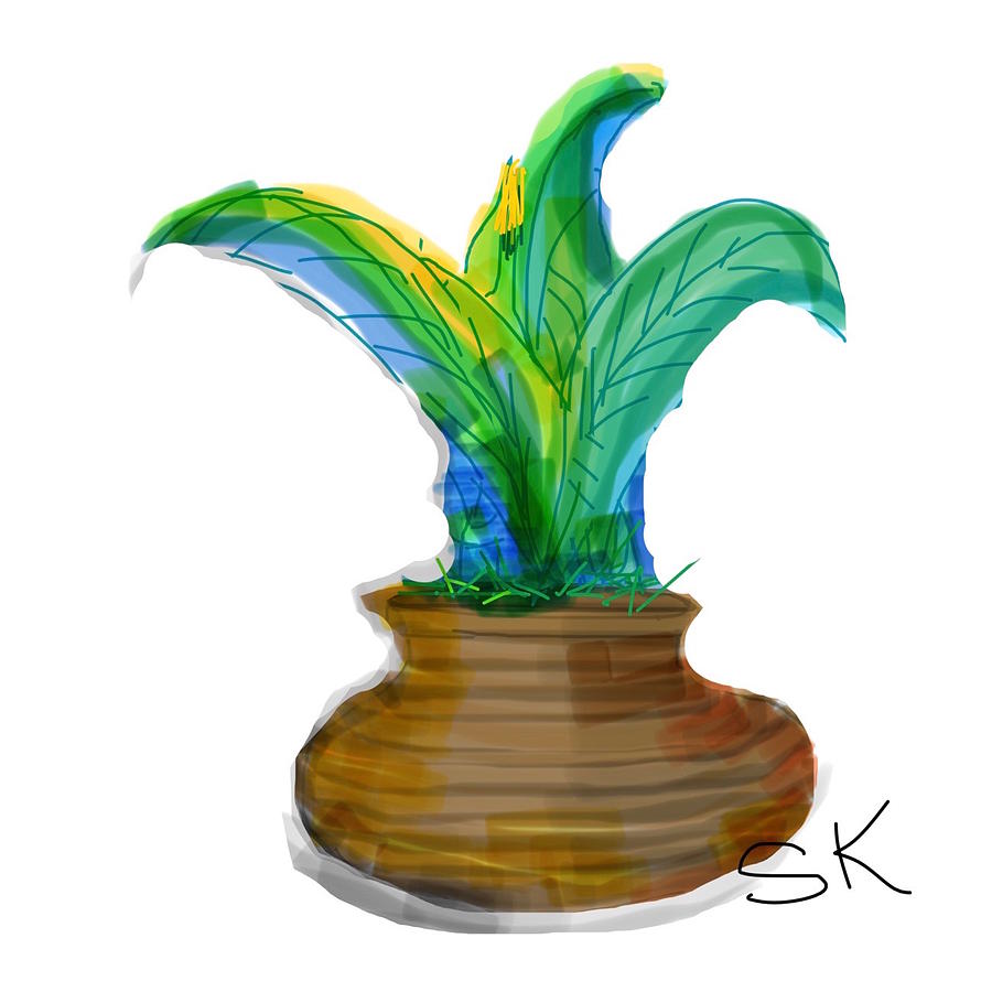 Potted Aloe Digital Art by Sherry Killam