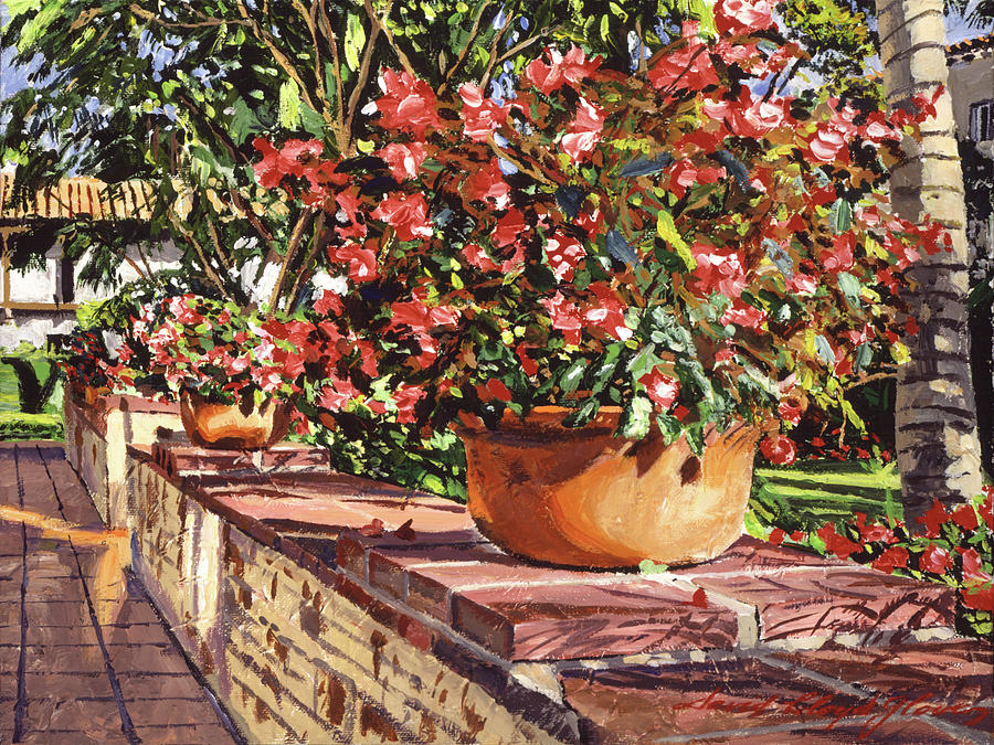 Potted Begonias Santa Barbara Painting
