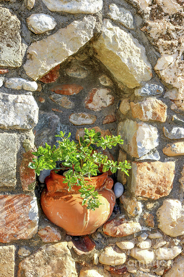 Potted plant in niche in stone wall in Greek village Photograph by Susan Vineyard