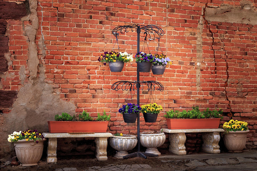 Potted Plants And A Brick Wall Photograph
