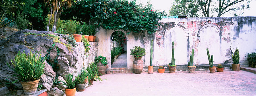 Potted Plants In Courtyard Of A House Photograph by Panoramic Images