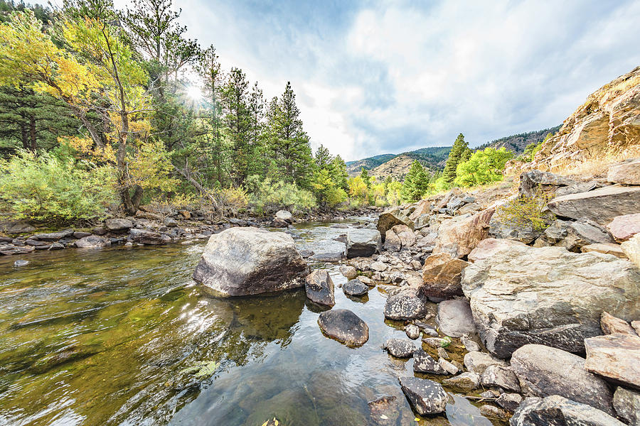 Poudre River In The Fall Photograph by Jennifer Grossnickle