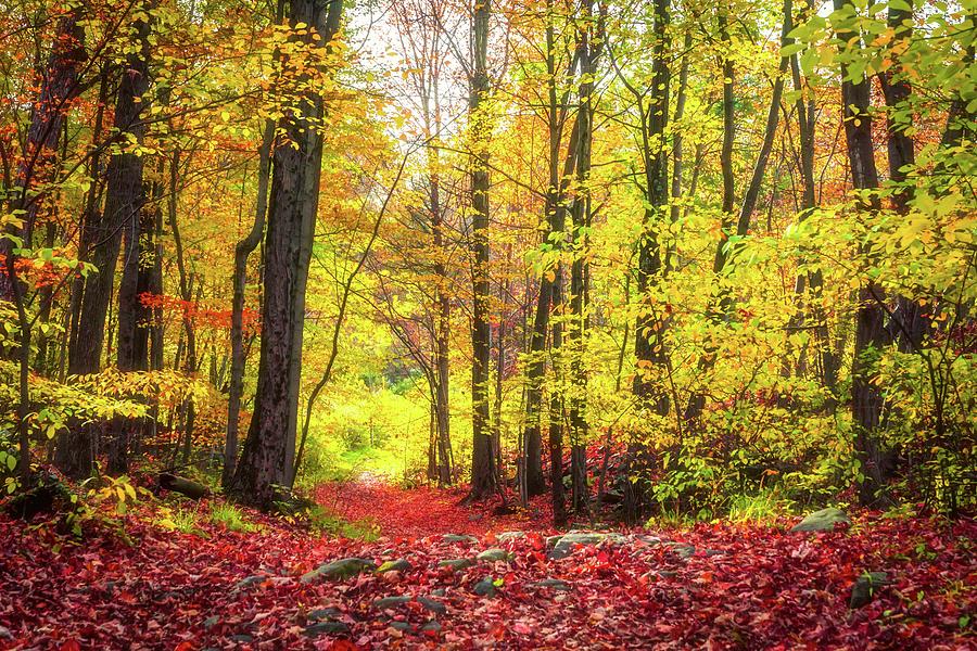 Poughkeepsie autumn Photograph by Framing Places - Fine Art America
