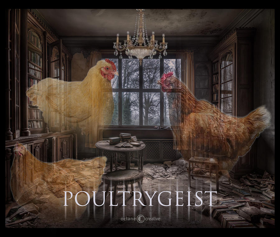 Poultrygeist Photograph by Tim Nyberg