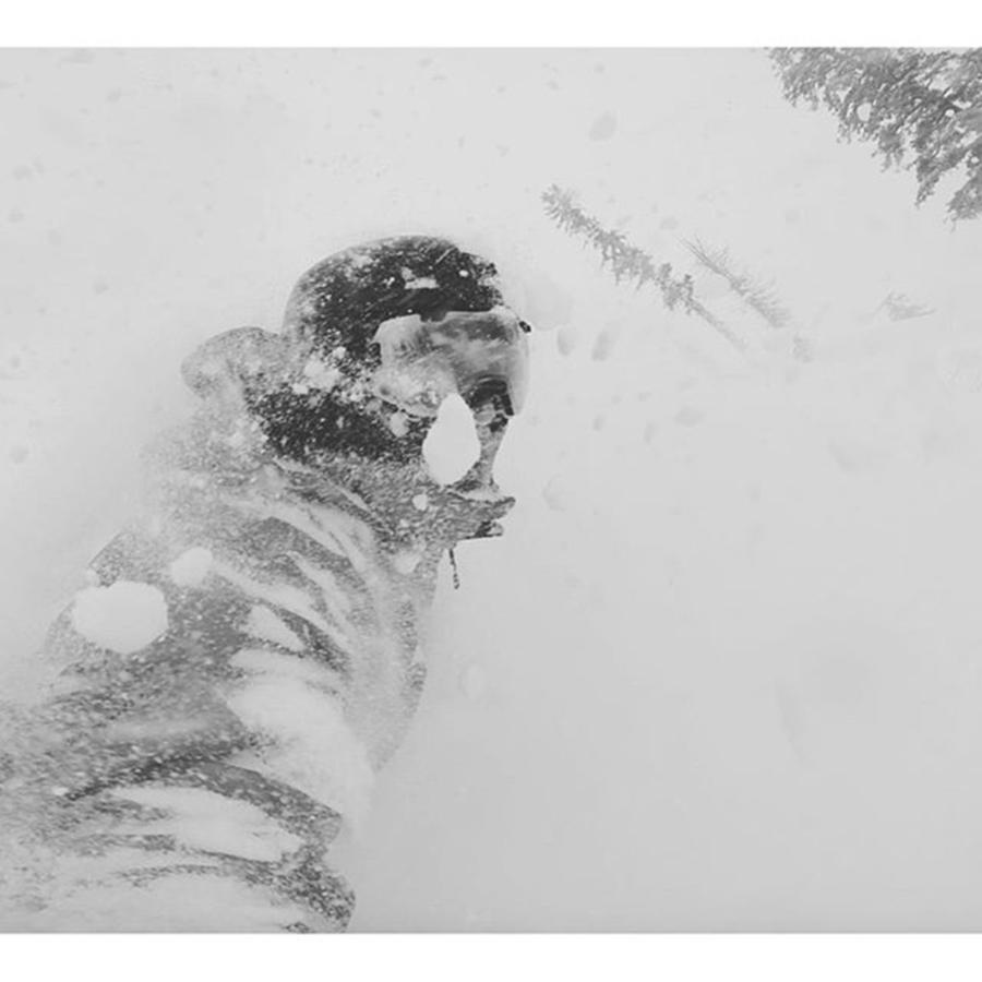 Pow Day @sugarbowlresort Photograph by Grant Bowen