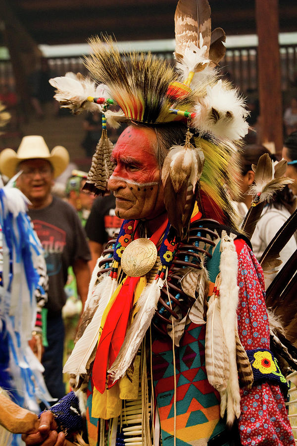 Pow Wow Celebration No 7 Photograph by David Smith