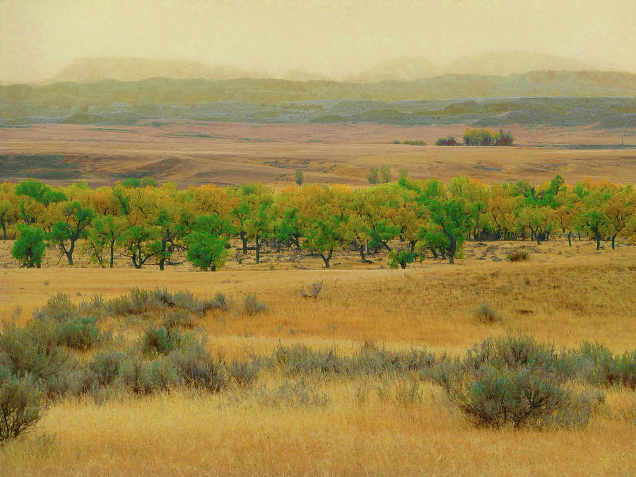 Powder River October Reverie Photograph by Cris Fulton
