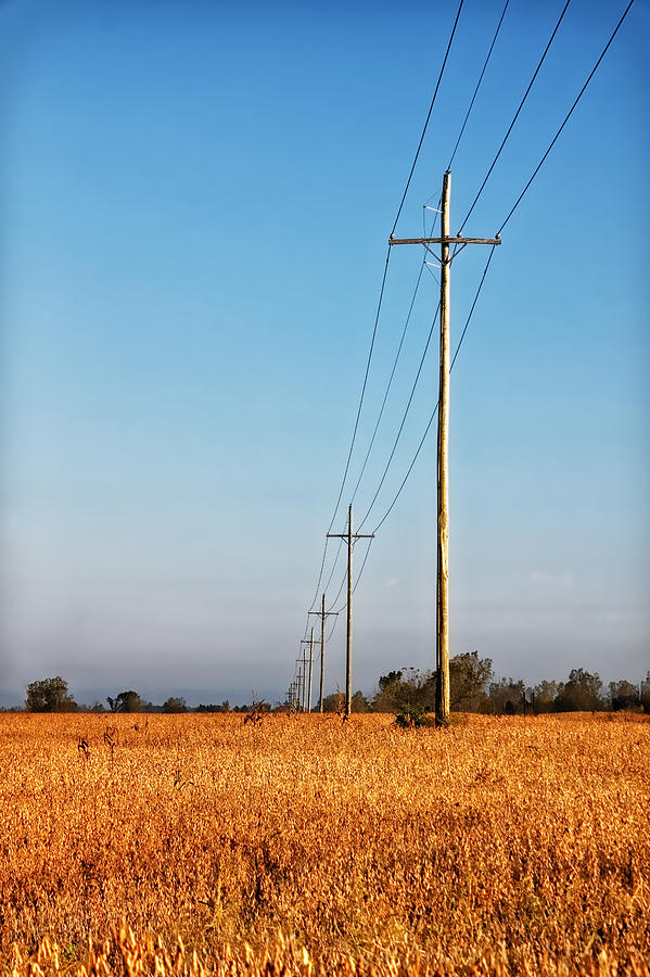 Power Lines at Sunrise Photograph by Lars Lentz