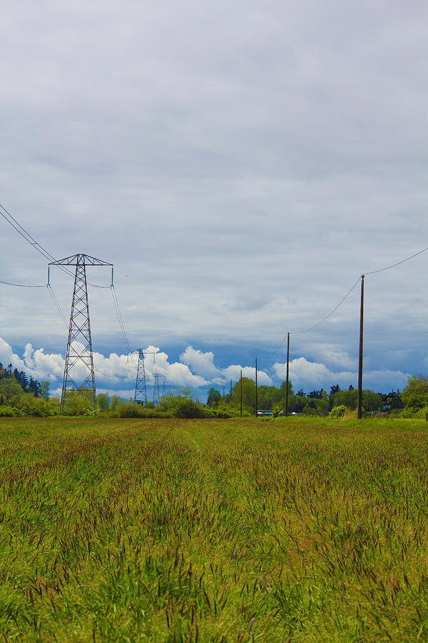 Power lines sky and crop Photograph by Donna L Munro