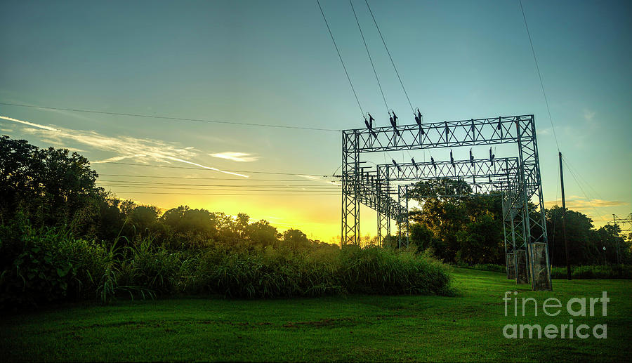 Power Lines Sunset Photograph by Felix Lai