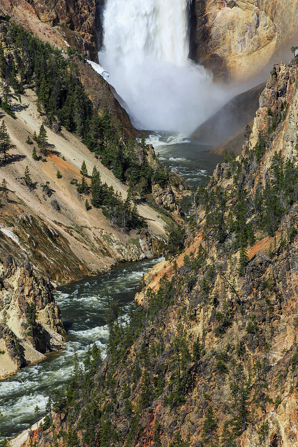 Powerful Photograph by Focus On Nature Photography