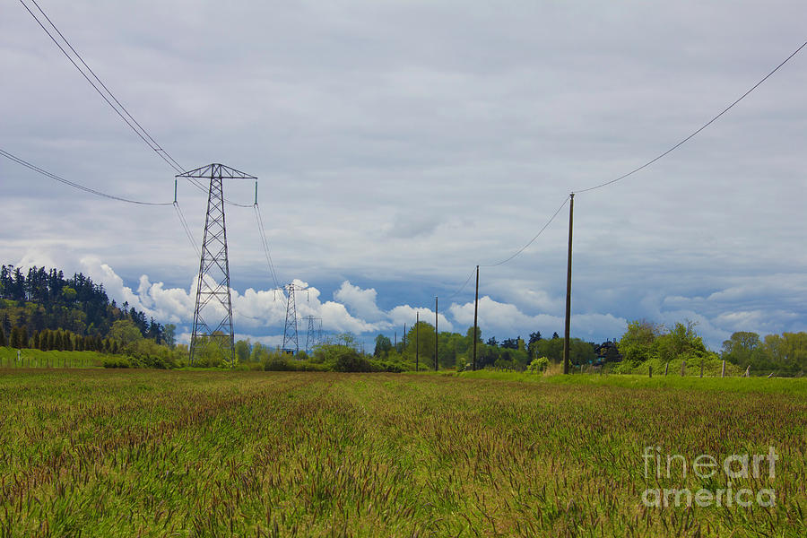 Powerlines landscape Photograph by Donna L Munro