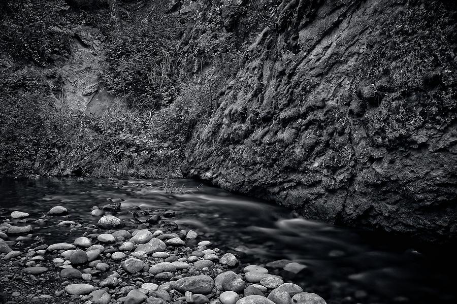 Powers Creek Flow Black and White Photograph by Allan Van Gasbeck