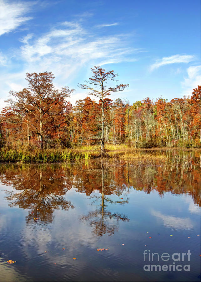 Fall Photograph - Powhatan Creek Park I by Karen Jorstad