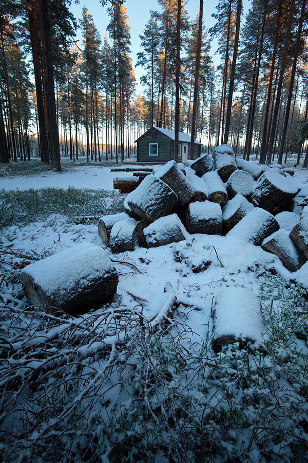 Pile of firewood in front of a hut in a forest Photograph by Ulrich Kunst And Bettina Scheidulin