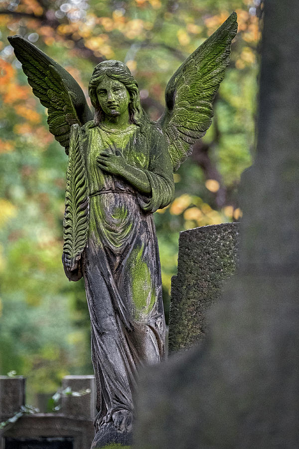 Prague Cemetery Angel Photograph by Stuart Litoff