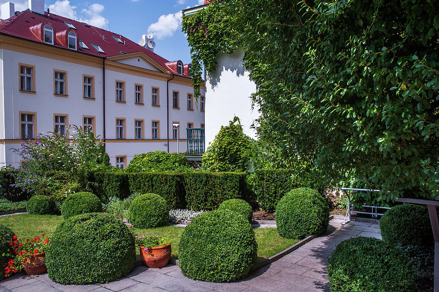 Prague Courtyards. Regular Style Garden Photograph by Jenny Rainbow
