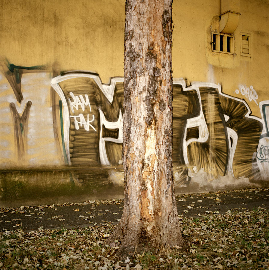 Prague Graffiti Photograph by Shaun Higson