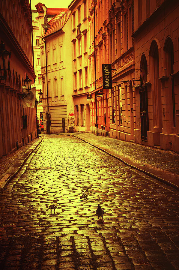 Prague Streets 3. Series Golden Prague Photograph by Jenny Rainbow