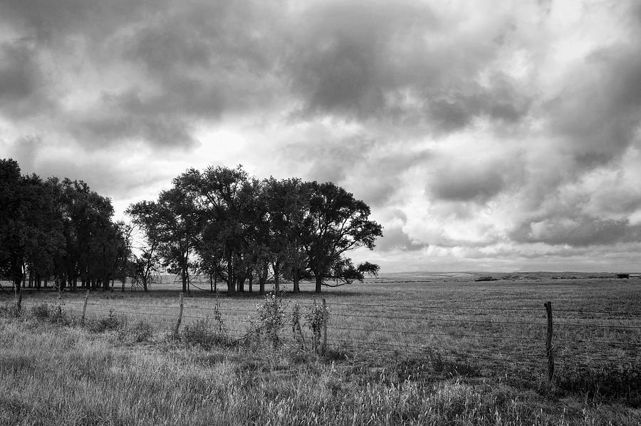 Black And White Photograph - Prairie After The Rain Black and White - landscape photography  by Ann Powell