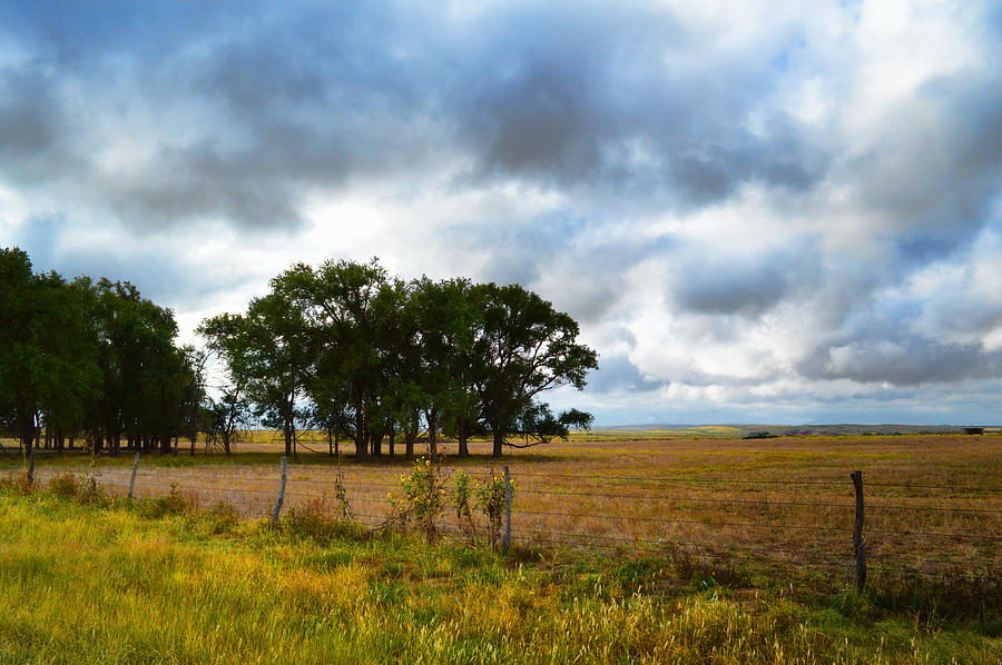 Prairie After The Rain - landscape photography Photograph by Ann Powell