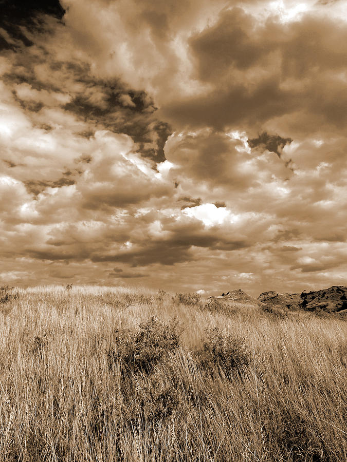 Prairie and Sky Photograph by Cris Fulton