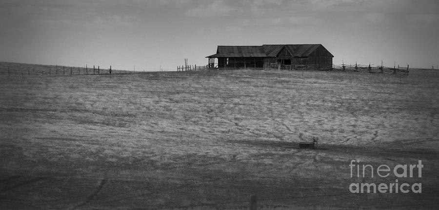 Prairie Homestead in Black and White Photograph by Nadalyn Larsen