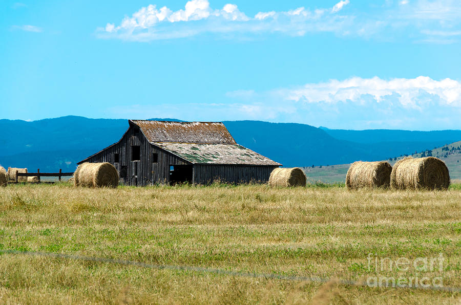 Prairie Barn Photograph by Mary Carol Story
